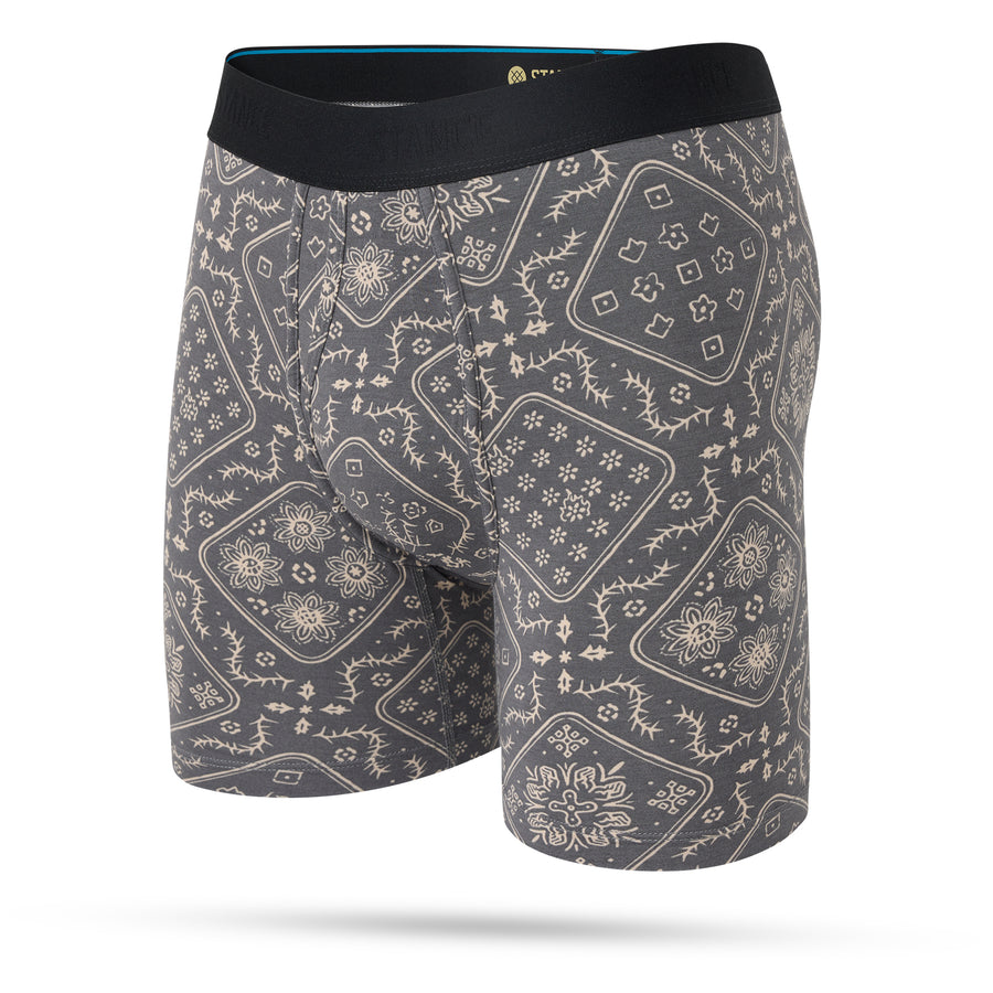 It Is Paisley Boxer Brief Wholester