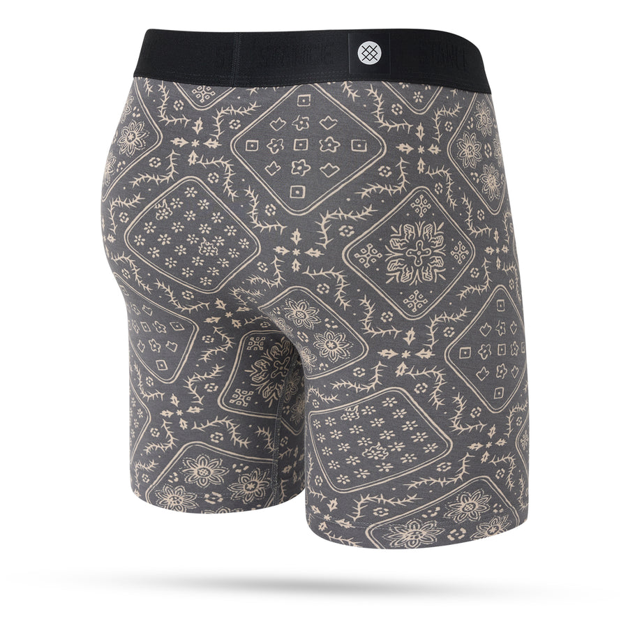 It Is Paisley Boxer Brief Wholester