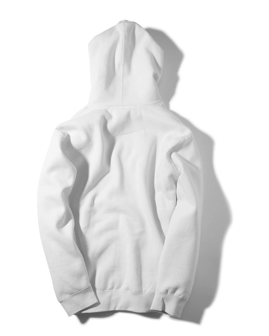 ICON HOODIE - Stance